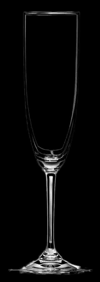 Riedel, Champagne Flute, 2-pack, Vinum