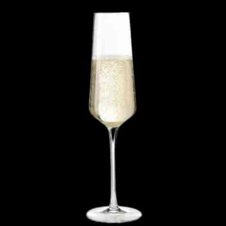 Champagneglas 280ml Puccini 6-pack